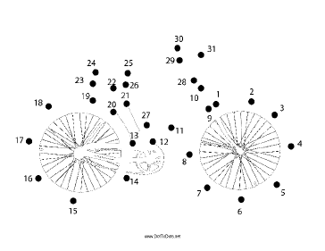 Bicycle Dot To Dot Puzzle
