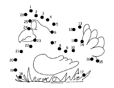 Hen Dot To Dot Puzzle