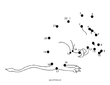 Bandicoot Dot To Dot Puzzle