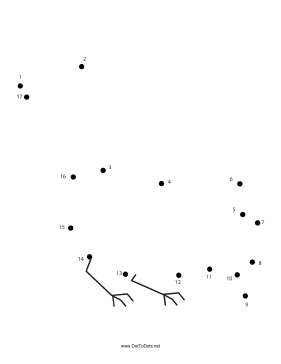 Bird Dot To Dot Puzzle