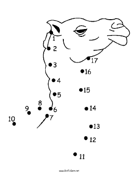 Camel Dot To Dot Puzzle