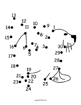 Cute Seal Dot To Dot Puzzle