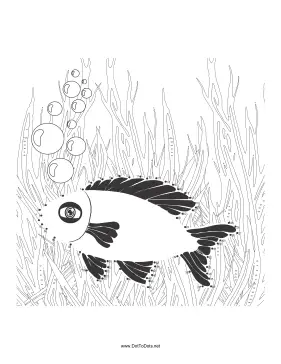 Fish 1 Dot To Dot Puzzle