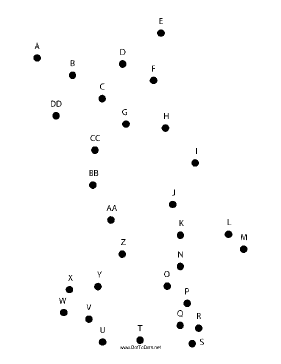 Fuzzy Bunny Dot To Dot Puzzle