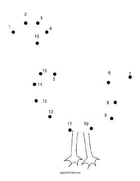 Honking Goose Dot To Dot Puzzle