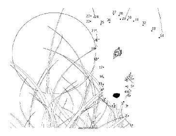 Horse Head Dot To Dot Puzzle