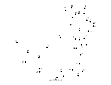 Kangaroo Dot To Dot Puzzle