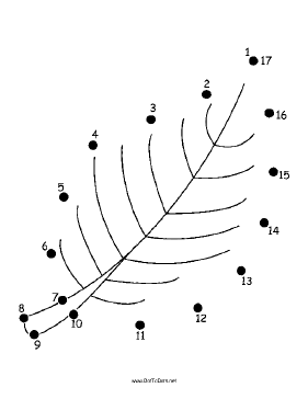 Leaf Dot To Dot Puzzle