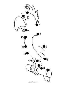 Parrot Dot To Dot Puzzle