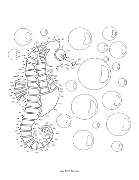 Sea Horse Dot To Dot Puzzle