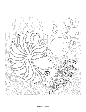 Shell Fish Dot To Dot Puzzle