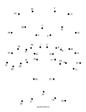 Spider Dot To Dot Puzzle