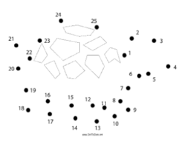 Terrapin Dot To Dot Puzzle