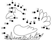Hen